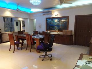 Luxury Furnished apartment 3400sq - 3