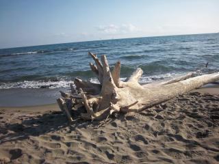 Casale In Maremma - Pancole - 1