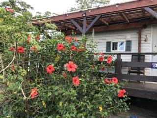 Kunigami-gun - Cottage / Vacation STAY 22642 - Motobu - 6