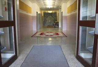 Le Vignoble de l'École - Young - 0