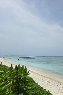 Hulhumale' Beach Front Modern 2 Bedroom Apartment - 1
