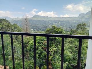 Kandy Golden Breeze - 1