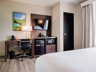 Comfort Inn & Suites Tobago - Tobago - 2