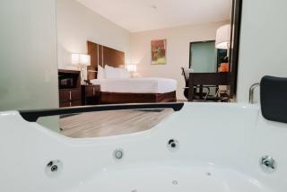 Comfort Inn & Suites Tobago - Tobago - 6
