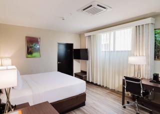 Comfort Inn & Suites Tobago - Tobago - 8