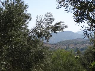 Lassia Studios - Petra - 3