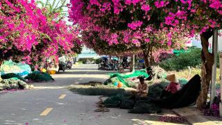Pepper In Nha Trang Homestay - 5