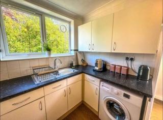 Lime Tree in blue House - 1