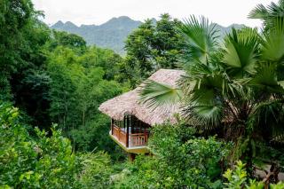 Asia Tropical Resort and Spa - - 9