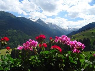 Scheurerhof - Tux - 4