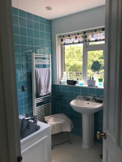 Lovely Family Holiday Home in Bonchurch - Ventnor - 9