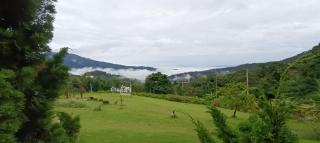 บ้านลิ้นจี่โฮมสเตย์ Baan Lychee homestay - 3