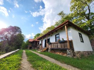 Arboretum Guesthouse - Şoimeni - 5