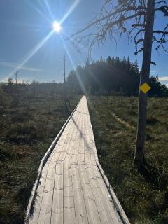 Mökki ja saunamökki Kurjenrahkan kansallispuistossa - Pöytyä - 8