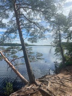 Mökki ja saunamökki Kurjenrahkan kansallispuistossa - Pöytyä - 1