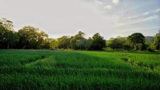 Green Peak Lodge - 8