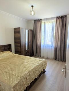 Forest Home near Borjomi - 8