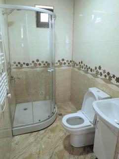 Forest Home near Borjomi - 6