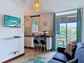 Natur Azur - studio - 20 m2 - proche de la Clinique - Sainte-Clotilde - 3