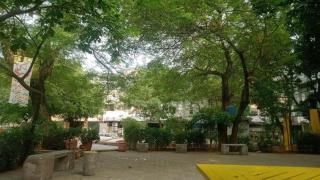Pak Guest House - Dargai - 7