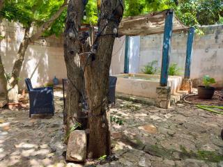 Casa La Perla del Sur Confort y calidez en todos sus espacios - 2