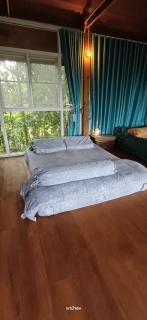 Napahong Treehouse นาป่าฮง Andromeda & Cassiopeia - - 5