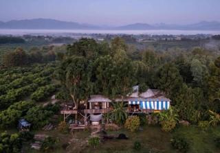 Napahong Treehouse นาป่าฮง Andromeda & Cassiopeia - - 9