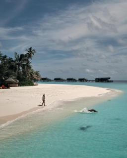 Park Hyatt Maldives Hadahaa - 8