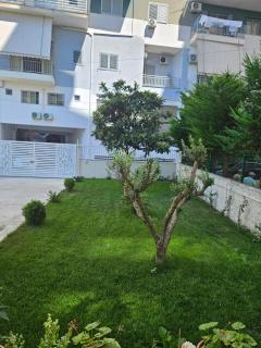 Shpia NKopsht - Lushnjë - 2