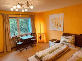 Lichtblick - Sonnige Wohnung mit Balkon & Extras - St. Georgen im Schwarzwald - 4