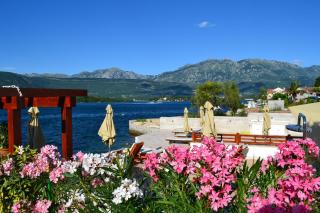 Apartments Harmonia - Tivat - 1