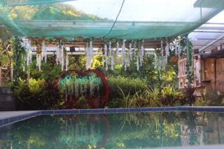 Socorros nature place - 0