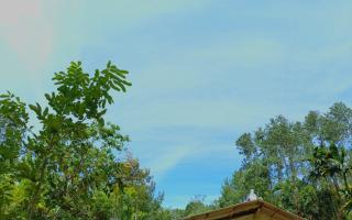 Nethanya Homestay - Ella - 6