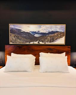 Elegant Comfort Stay - Mandurriao - 8