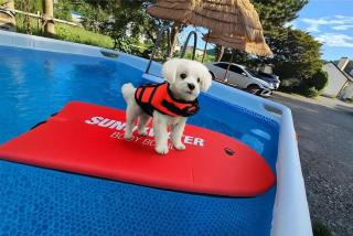 Anmyeondo susukotdari Pension - 6