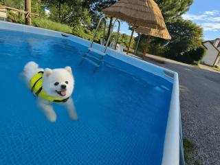 Anmyeondo susukotdari Pension - 5