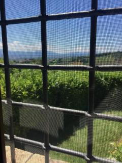 B&B La Noce - Montefalco - 7