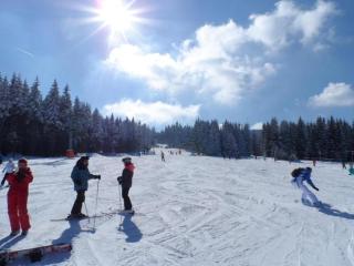 Holiday Home near Klínovec Ski Lift - Loučná pod Klínovcem - 9