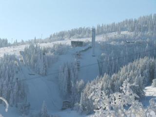 Holiday Home near Klínovec Ski Lift - Loučná pod Klínovcem - 5