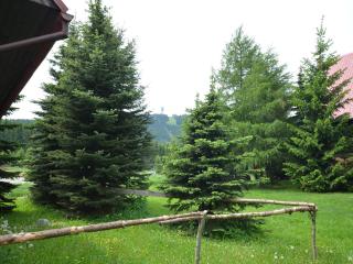 Holiday Home near Klínovec Ski Lift - Loučná pod Klínovcem - 1