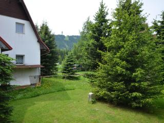 Holiday Home near Klínovec Ski Lift - 6