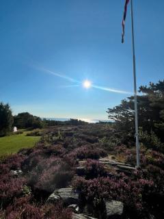 Justøygavlen 46 - Lillesand - 9