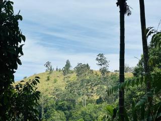 Mithun Homestay Ella - 0