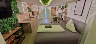 Appartment-Ferienwohnung mit Küche, Bad, WLAN, Klimaanlage, Modern eingerichtet - Roding - 0