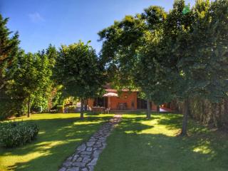 Apartment in Tuscany near Lake Trasimeno - Valiano - 7