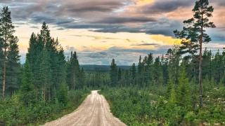 Det Vita Huset Gubbhögen - Strömsund - 2