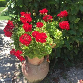 B&B La Noce - Montefalco - 1