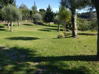 Cosy Farmhouse with private pool and mountain view - Póvoa de Lanhoso - 1