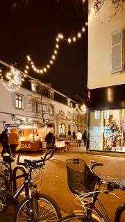 Colmar hypercenter Cosy & Romantic 1 bedroom flat- Elevator Wifi & Private parking-Keybox - 7