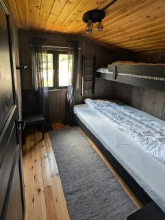 Modernized Mountain Cabin Near Treungen - Drangedal - 1